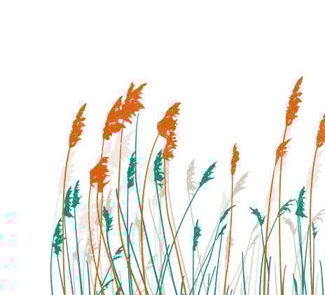 Iedzīvotāju ienākuma nodoklis