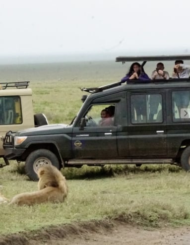 Raita foto Afrika